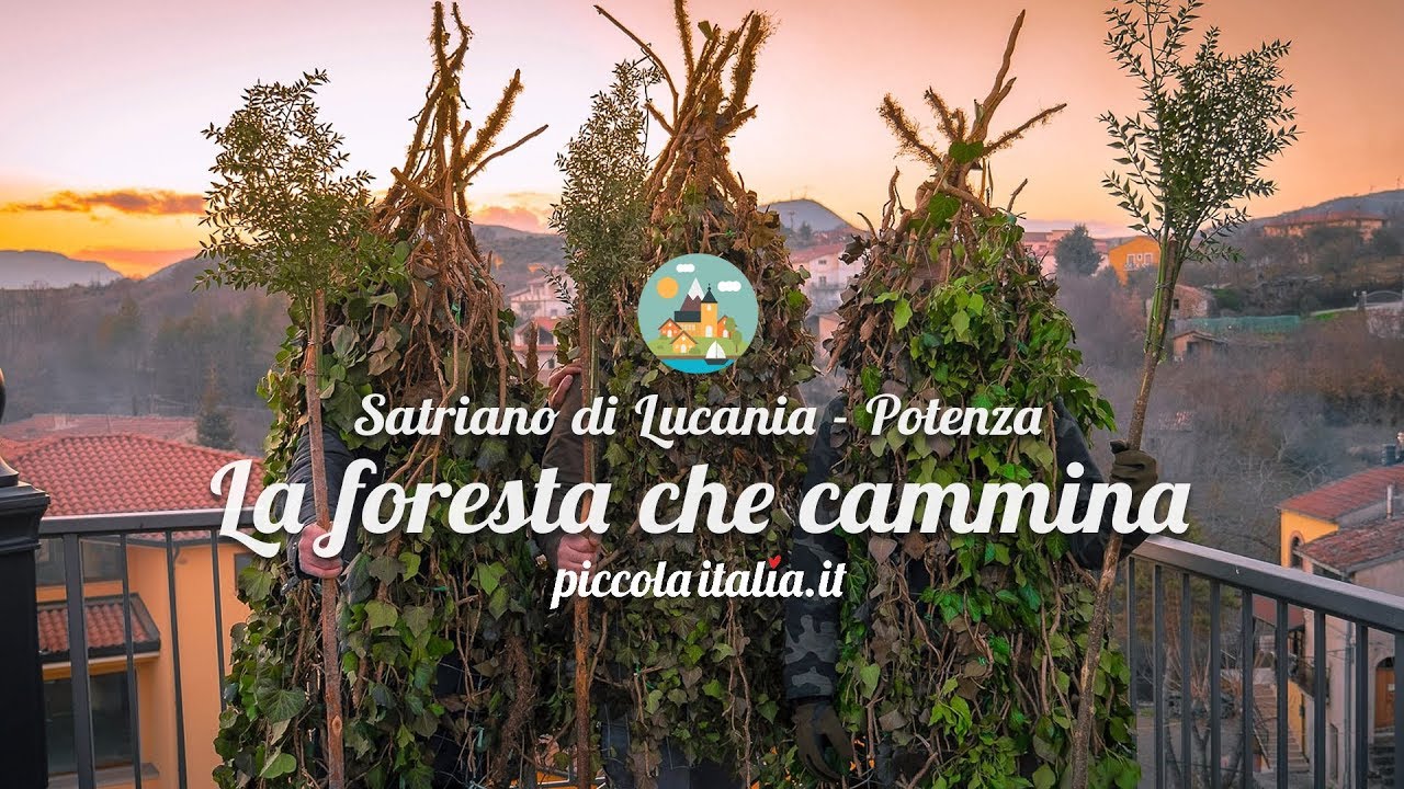 La foresta che cammina – Satriano di Lucania