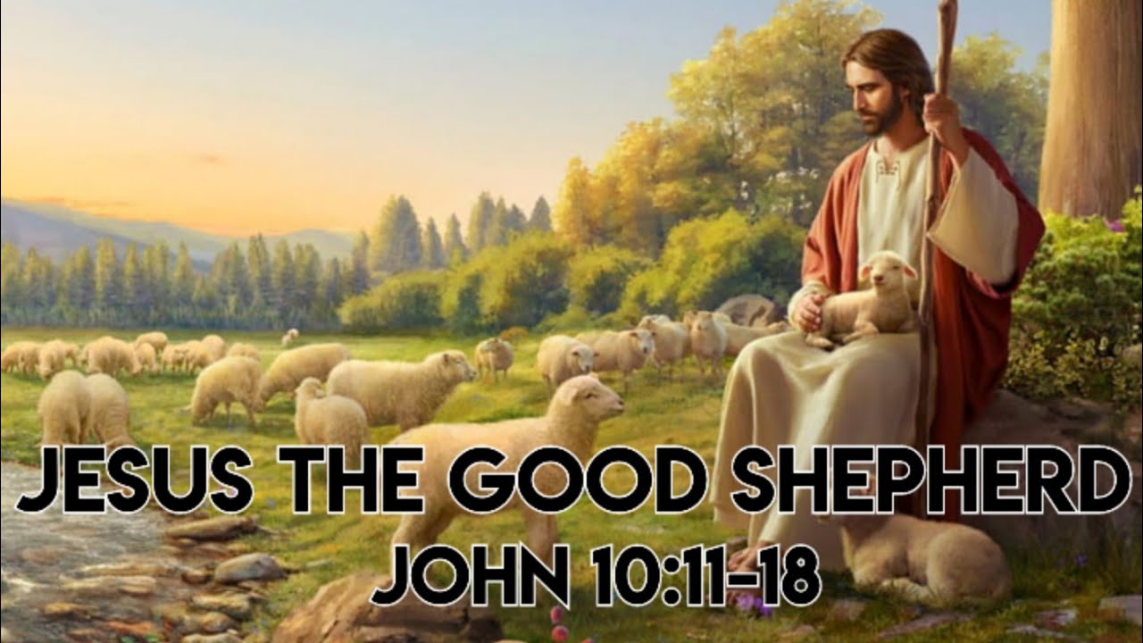 John 10:11-18 Jesus the Good Shepherd @bongpulsutin #gospel #bible #bibleverse