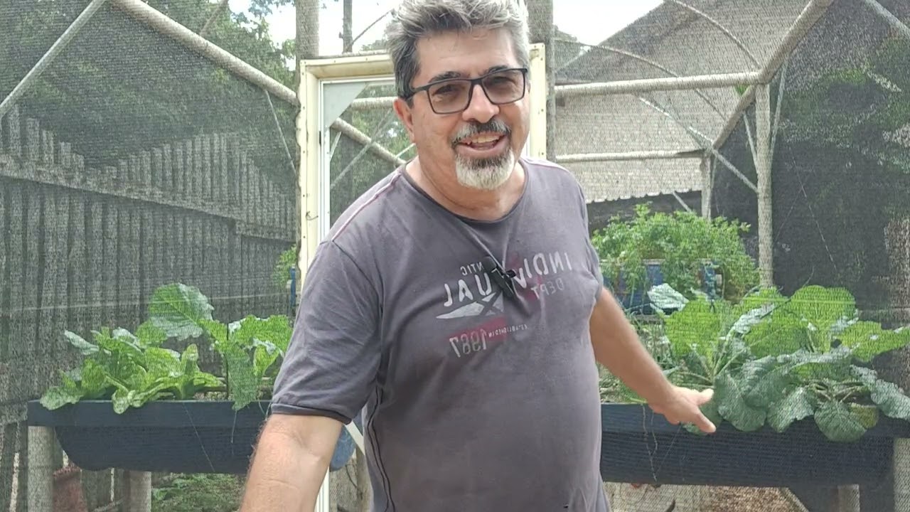 Como afastar as pragas das hortaliças,da aquaponia exemplos do tripis, borboletas cochinilha. 