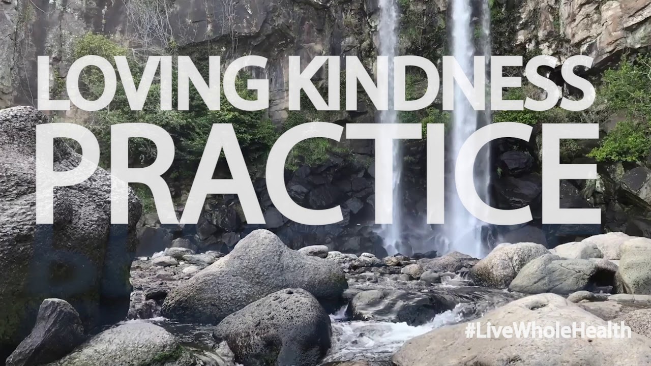 #LiveWholeHealth