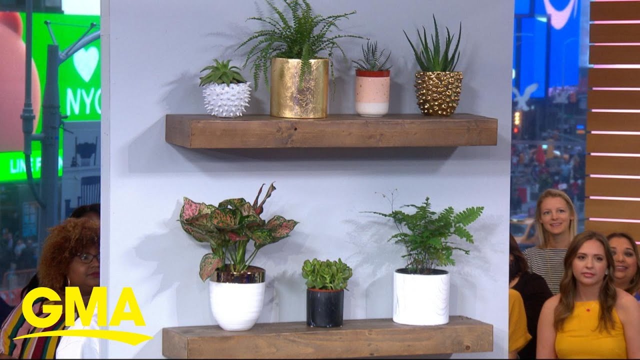 The latest wall design trends from 'Better Homes and Gardens' l GMA