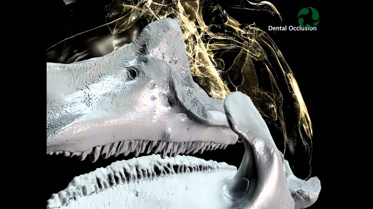 Deeper into the Skull: Visualizing hadrosaur chewing mechanisms and hidden skull movements