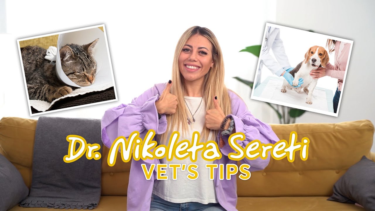 Vet tips - Στείρωση ΝΑΙ ή ΟΧΙ;; | Όλα όσα πρέπει να γνωρίζεις