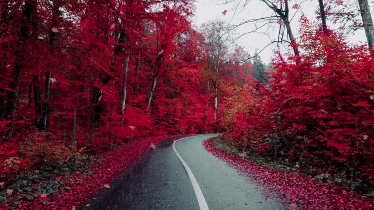 RainDrive 🌧️ Chill Beats for Late Night Car Rides