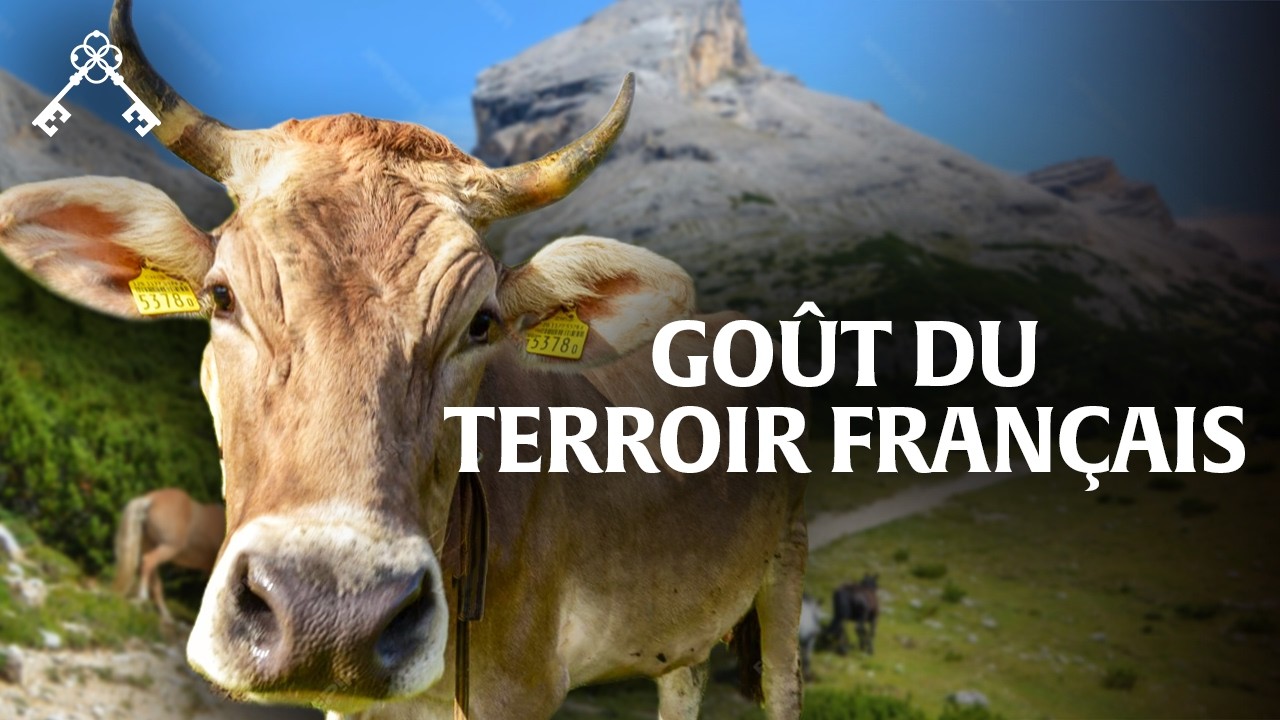 Aubrac: Hemmelighetene bak fin mat og lokale r&aring;varer | Kulturarvskatter