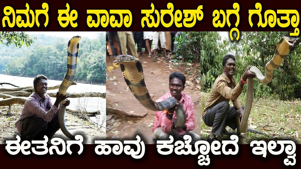 ಭಾರತದ ನಂಬರ್1 ಸ್ನೇಕ್ ಕ್ಯಾಚರ್ ವಾವಾ ಸುರೇಶ್ ಬಗ್ಗೆ ಗೊತ್ತಾ Vava Suresh Indias No1 Snake Master Biography