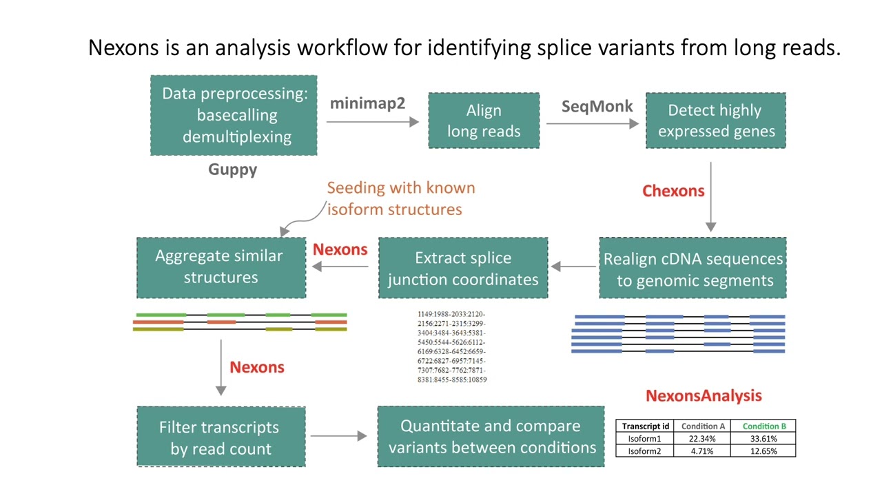 Characterisation of full-length transcripts with... - Ozge Gizlenci - iRNA - Abstract - ISMB 2022