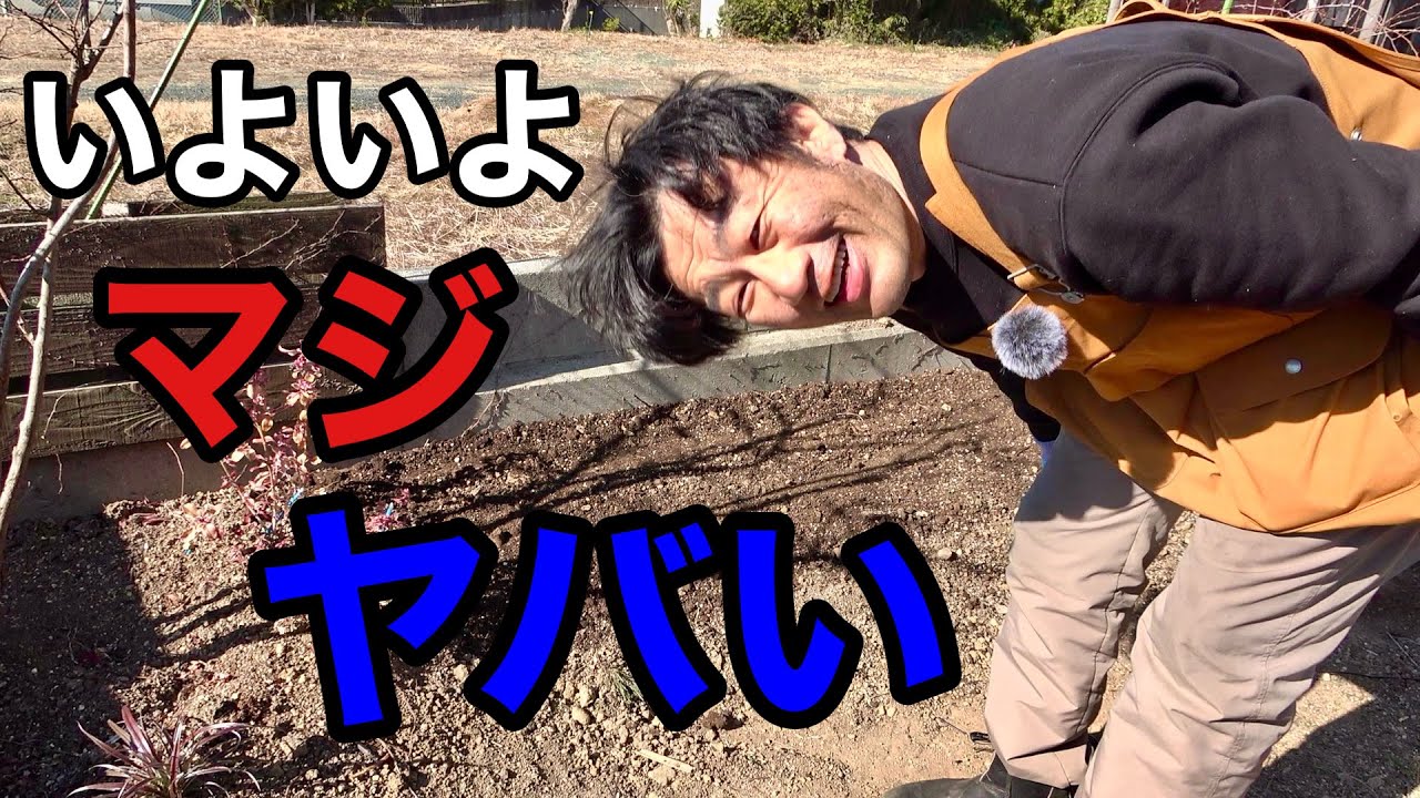 冬って結局こうなっていくのだよ。　【園芸超人カーメン君】