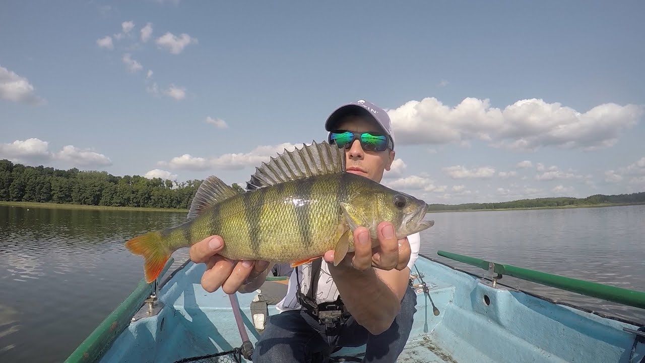 Jak złowić okonia na raka ? FishUp - Real Craw / Smółek testuje