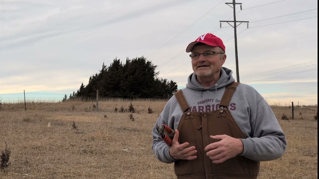 Farmstead Forest: How to handle invasive Eastern Red Cedar trees