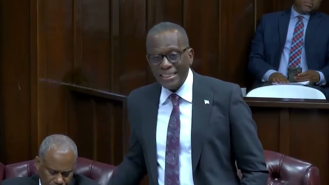 PARLIAMENT ERUPTS AS GOVERNMENT AND OPPOSITION CLASH OVER TAX REFORMS