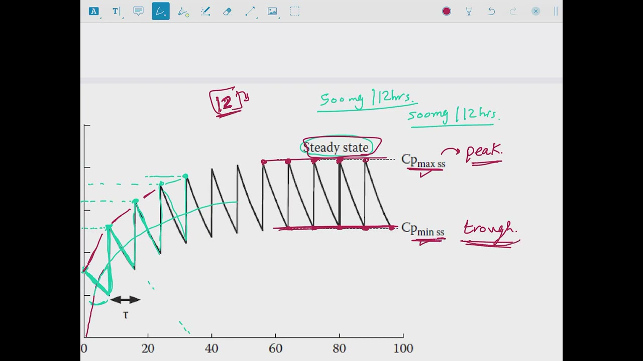 steady state multiple administration شرح  فارماكوكينيتك