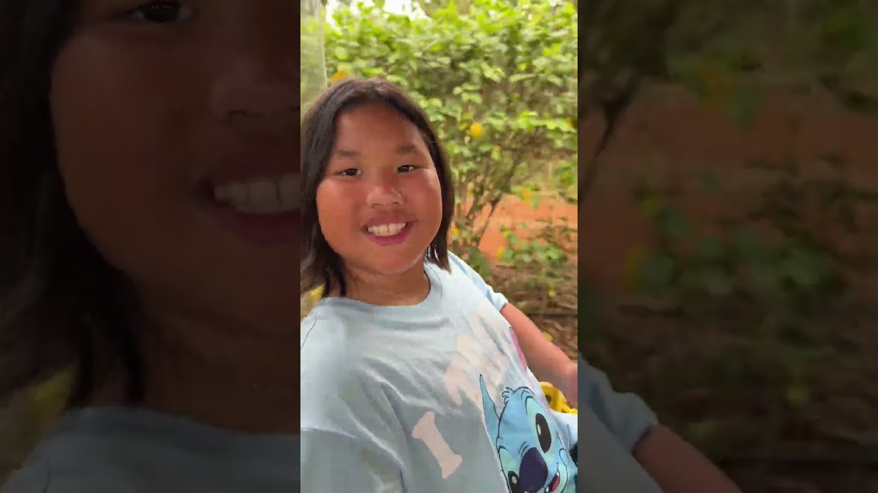 Tổng hợp clip Hawaii 2025 