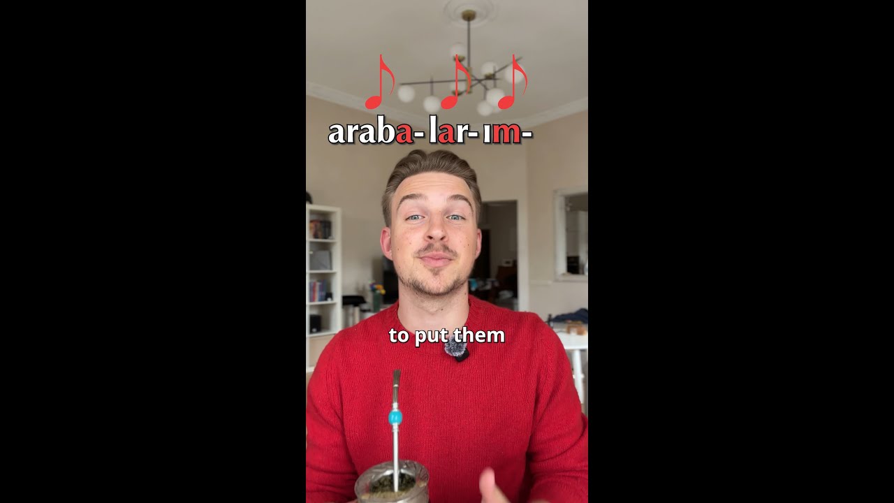 Гармония гласных в турецком языке
