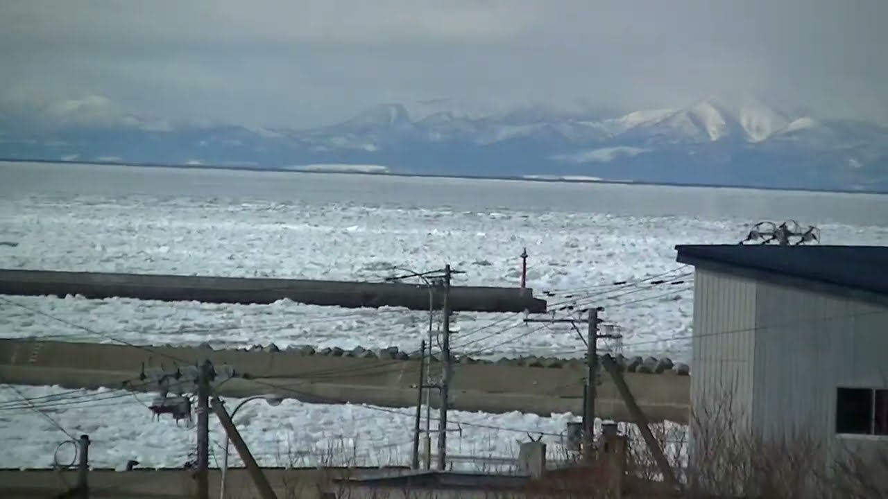 根室港に流氷が　その2　2026年3月15日