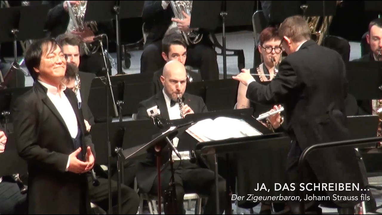 JA, DAS SCHREIBEN..., Der Zigeunerbaron, Johann Strauss fils