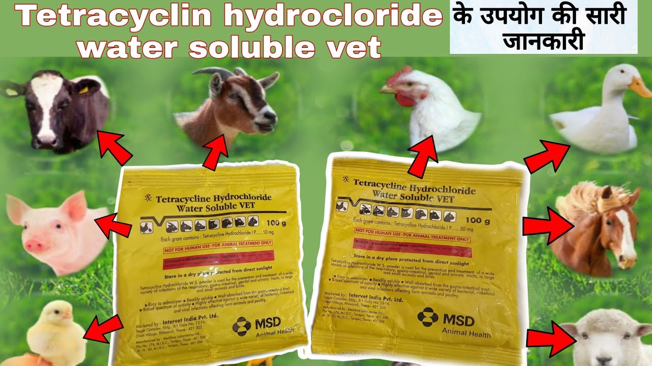 tetracycline hydrochloride water soluble vet uses in hindi @Veterinary Medicine Review Hindi