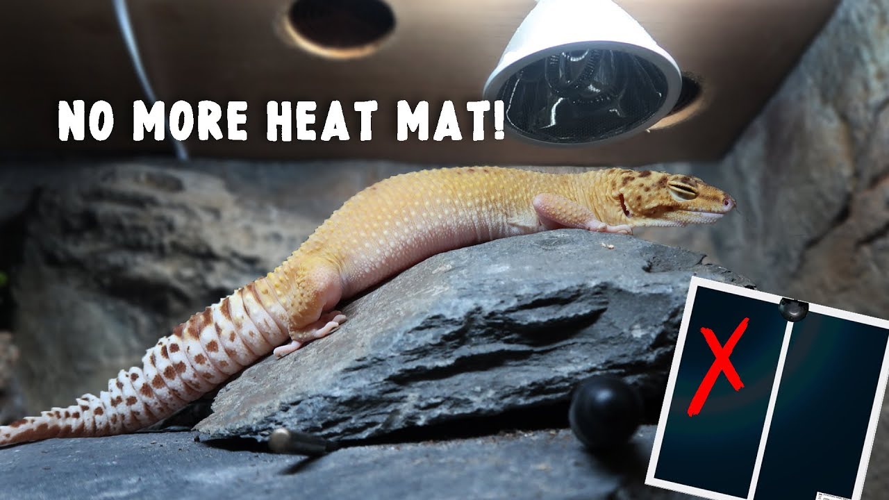 Installing Leopard Gecko's Revolutionary NEW Heating System!!