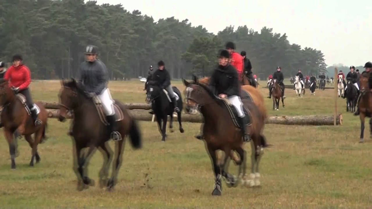 2010 Rinkaby Smålands Husarer Hubertusjakt.wmv