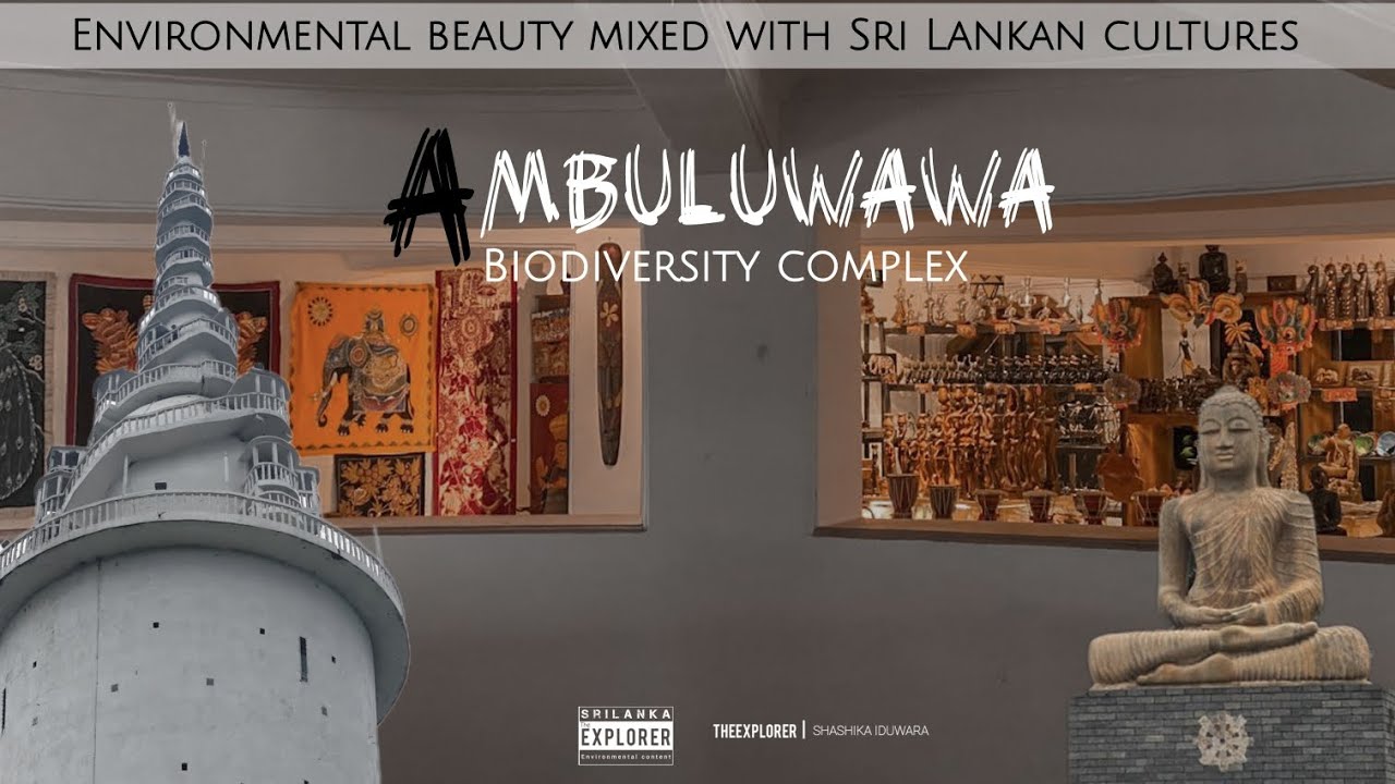 Ambuluwawa biodiversity complex | Sri Lanka | cinematic mini vlog 