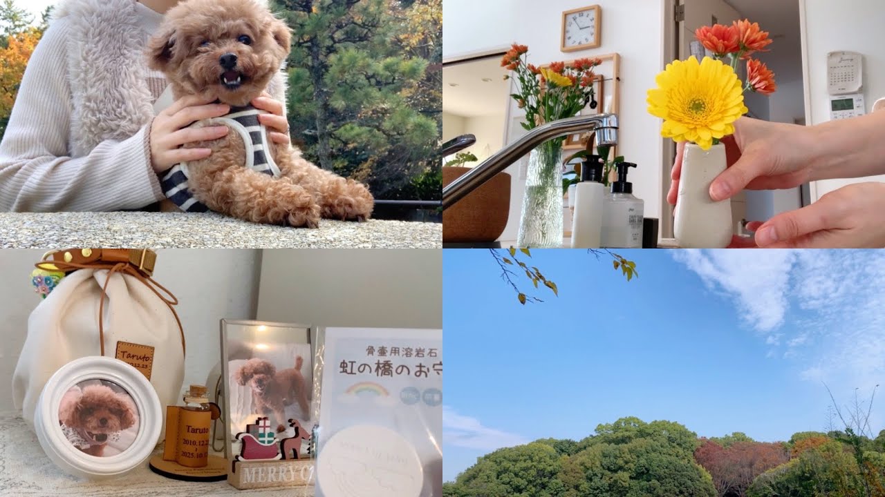 Taruちゃんのお骨のこと。