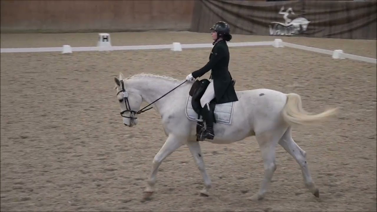 Working Equitation