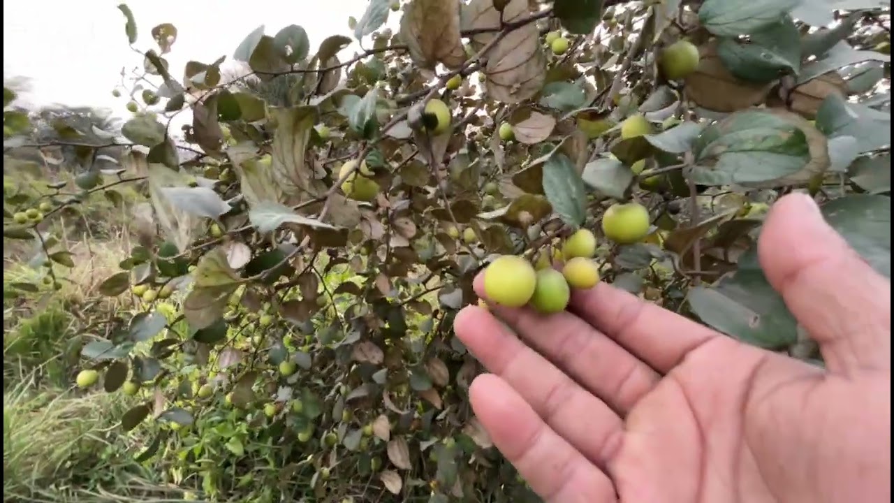 কতো কুল 😱😱😱😱