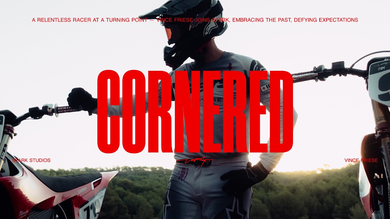 Винс Фриз - Загнанный в угол