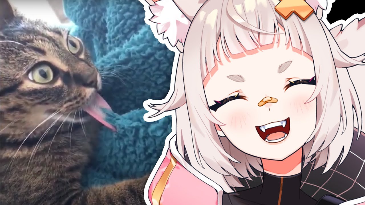 Shirahiko Reacts to Daily Dose of Internet