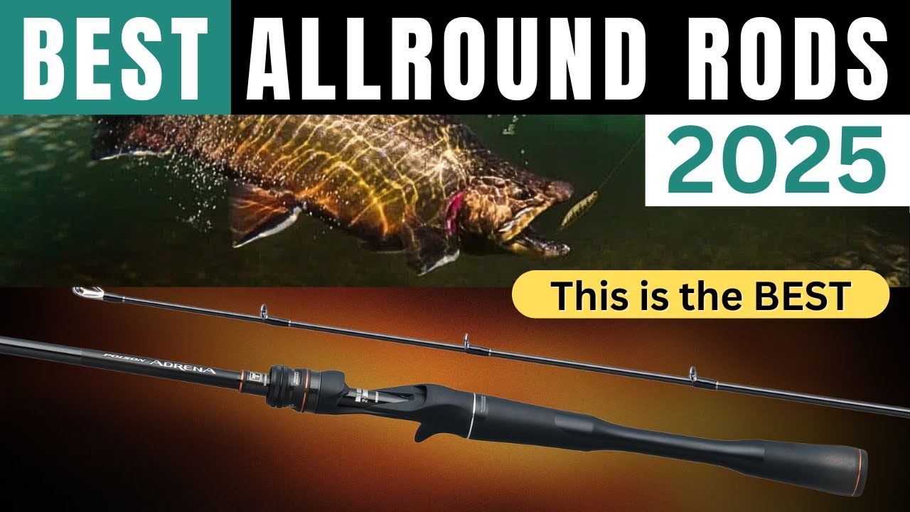 5 Best ALLROUND FISHING RODS for 2025 | Reviewed
