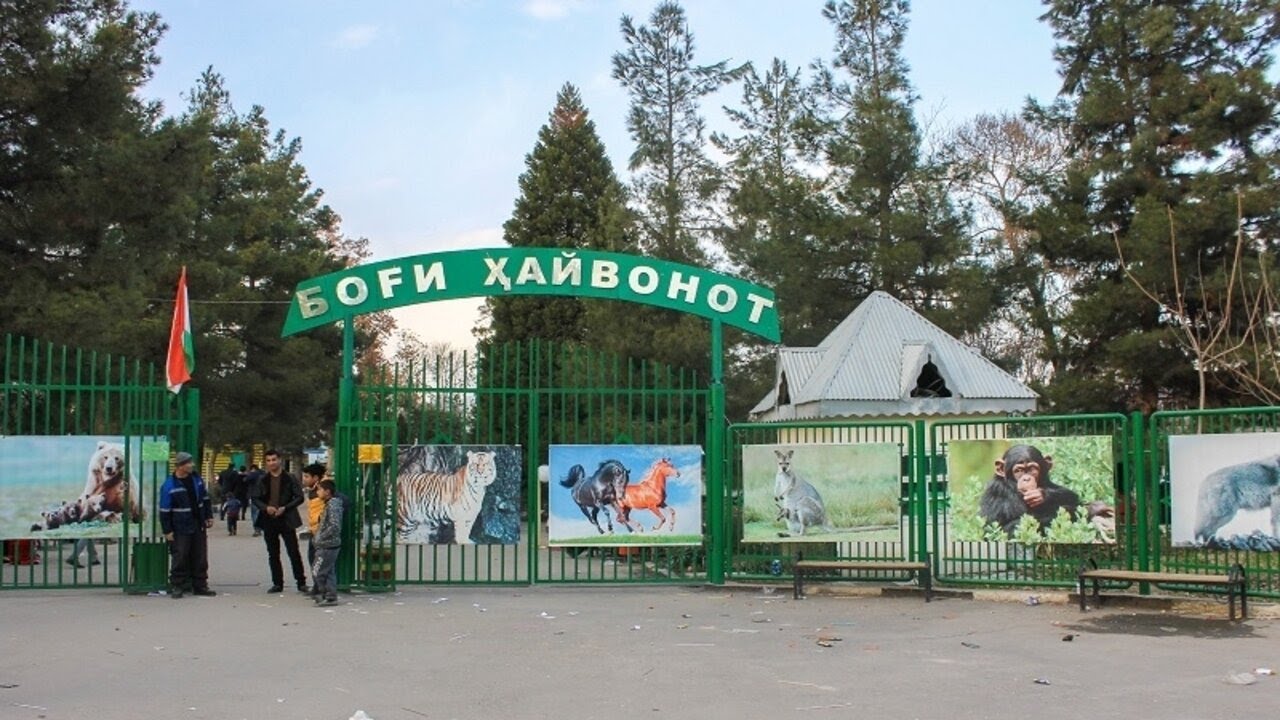 Какие животные есть в Зоопарке города Душанбе? (28.03.2020)