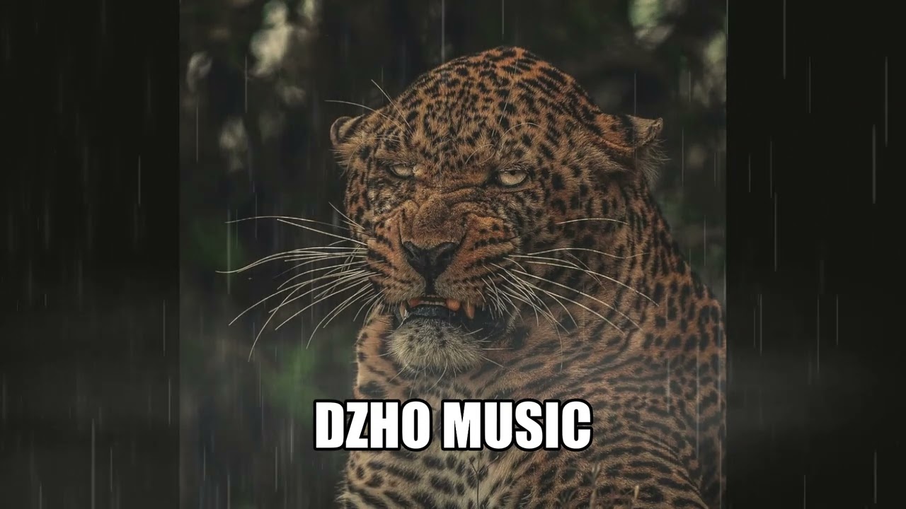 Bukahara   Shibren Timboletti Remix