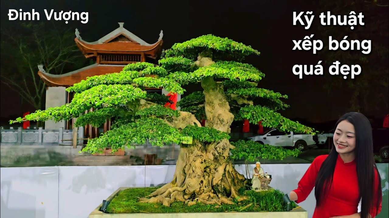 Kỹ thuật xếp bóng quá đẹp cho tác phẩm này 