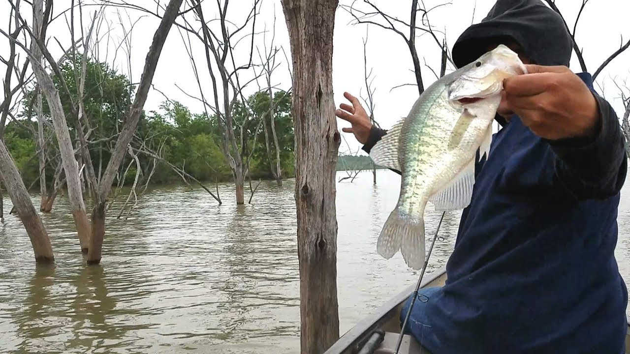 Crappie Fishing Jigging Trees. EP 14