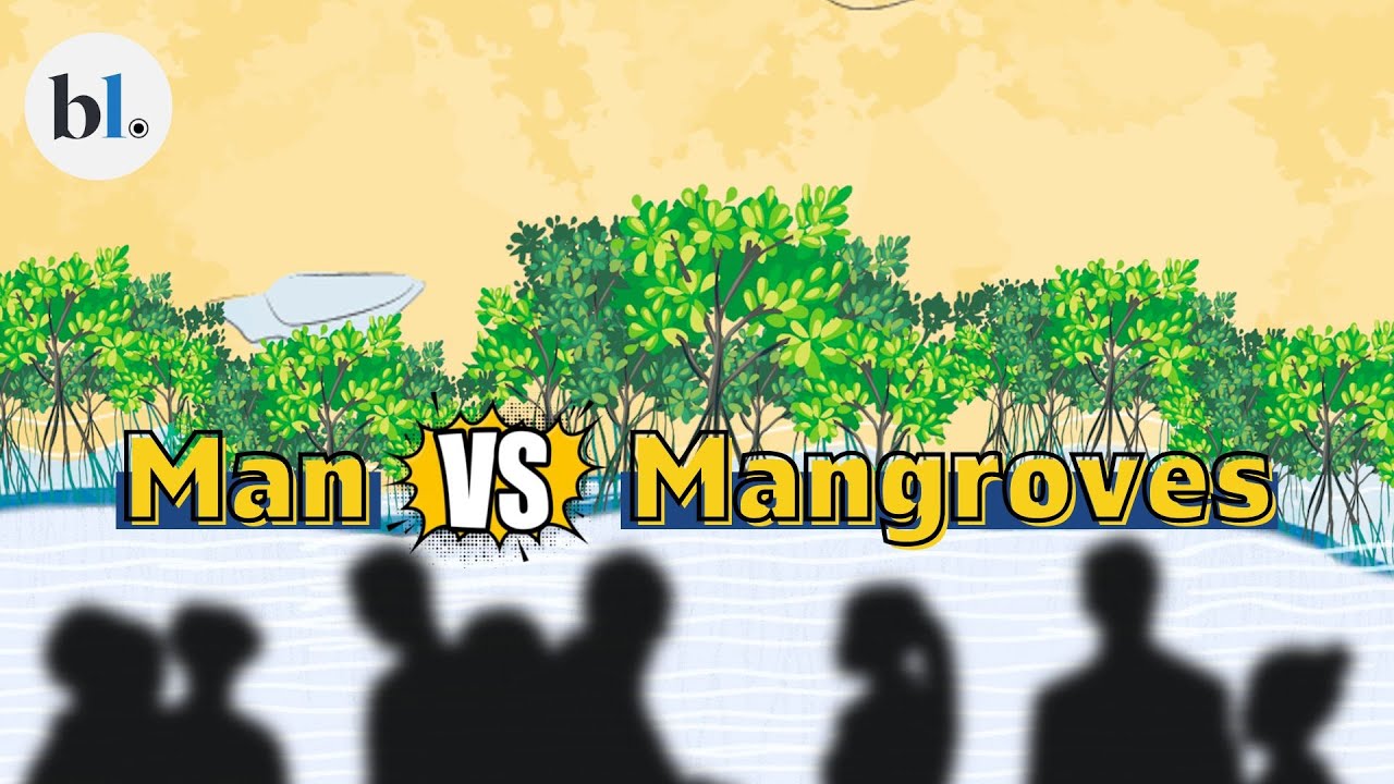 Mangroves: India's grand entry into the carbon credit market