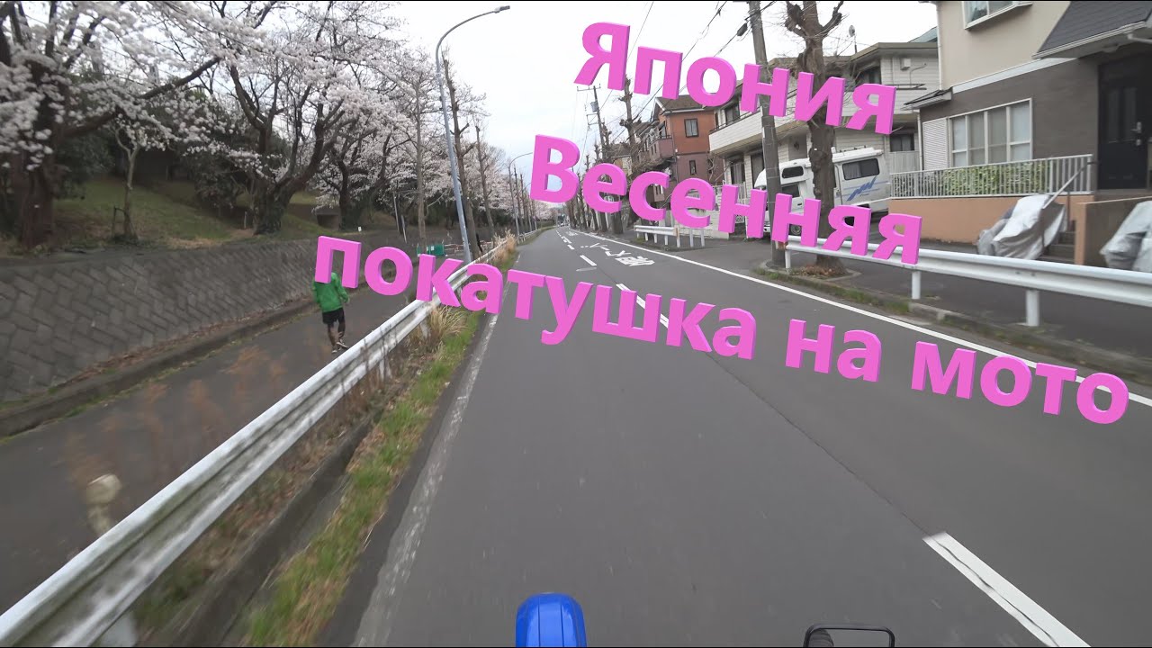 Весенняя покатушка на мото  Новости из Японии. Весна 2022 в Японии