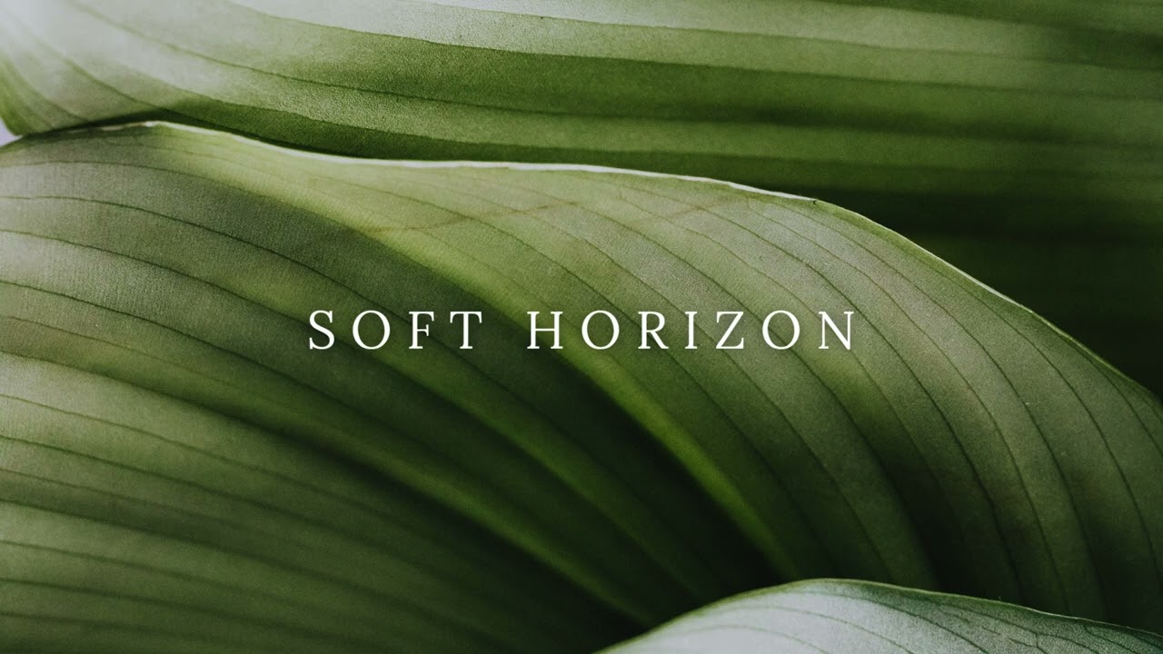 Soft Horizon