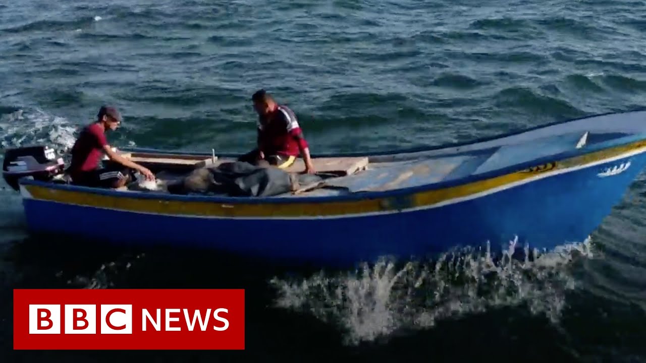 The precarious life of a Gaza fisherman - BBC News