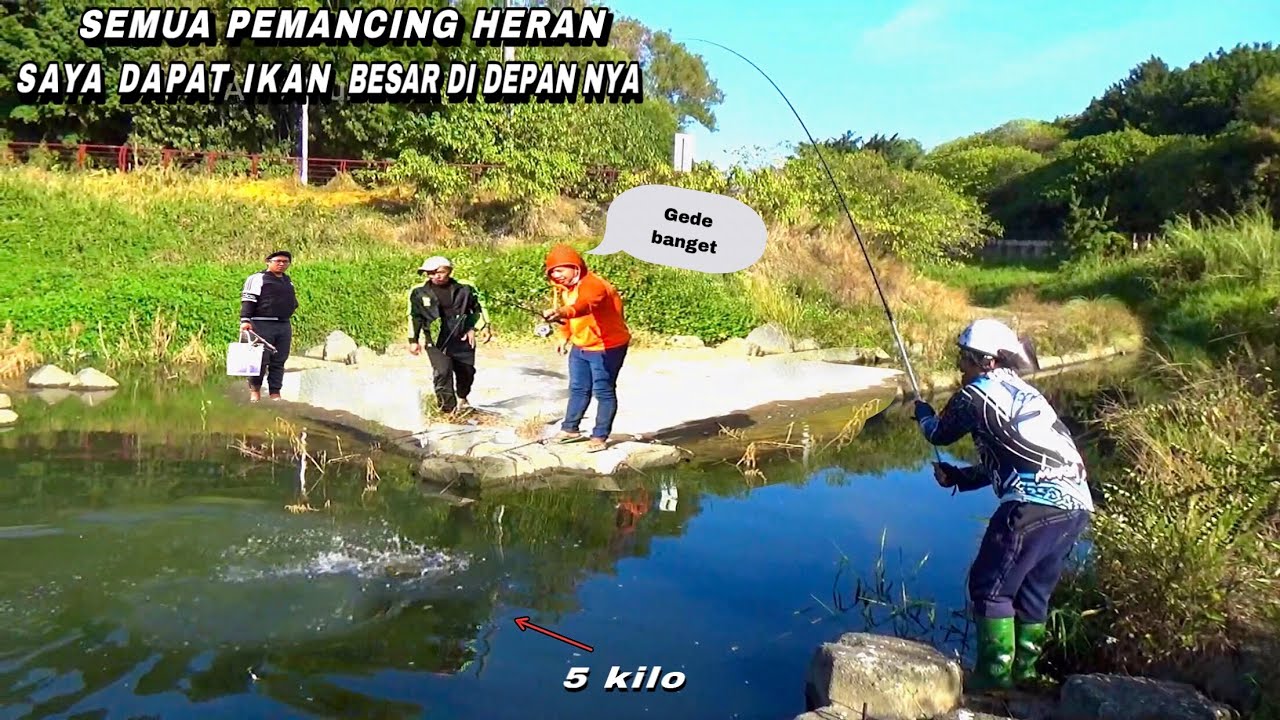 Beruntung..!mancing ikan nila dapat besar sampai pemancing lain heran
