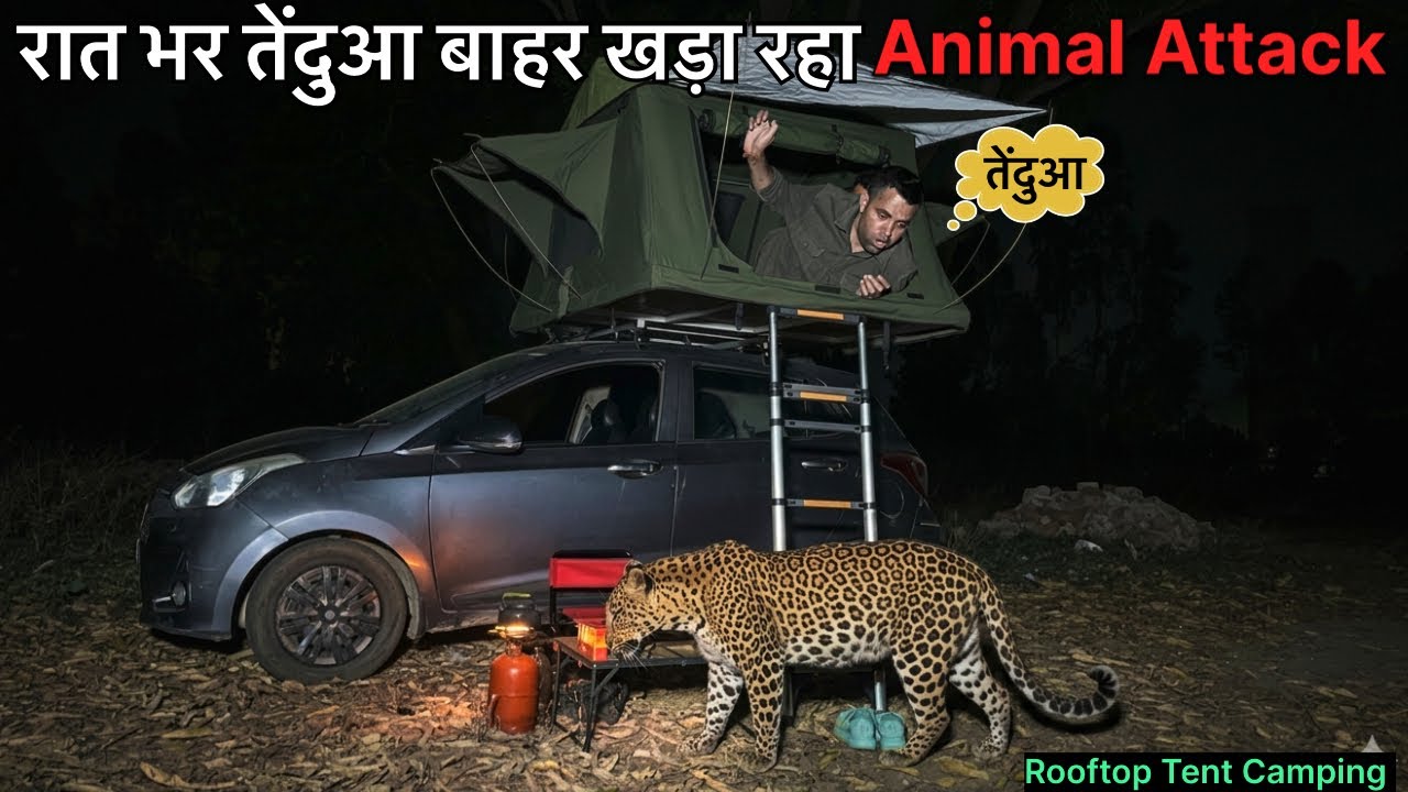  Solo Car Rooftop Tent Night Camping In Dangerous Forest Animal Attack Jungle Camping Video Vlog 