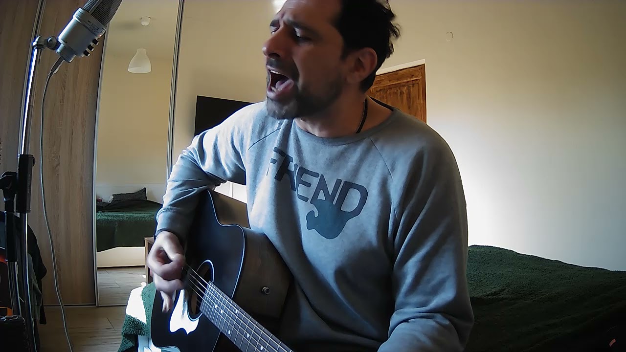 Mircea Vintilă  - Calul ( Dii neînșeuatule, dii) cover by Tudor Ionut
