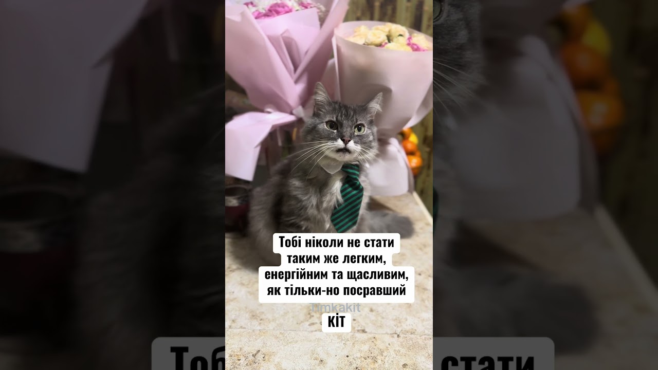 Але ж правда