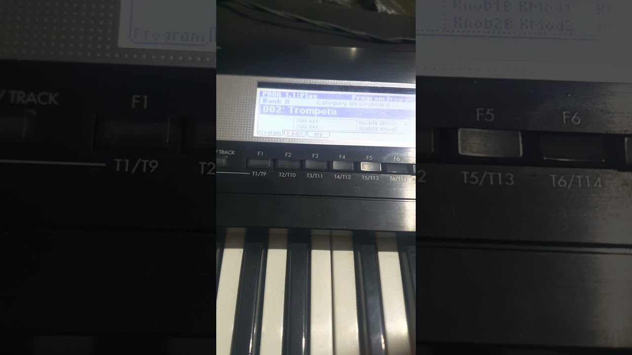 Korg TR fallan los samples... los sonidos internos suenan bien... qu&eacute; podr&aacute; ser?