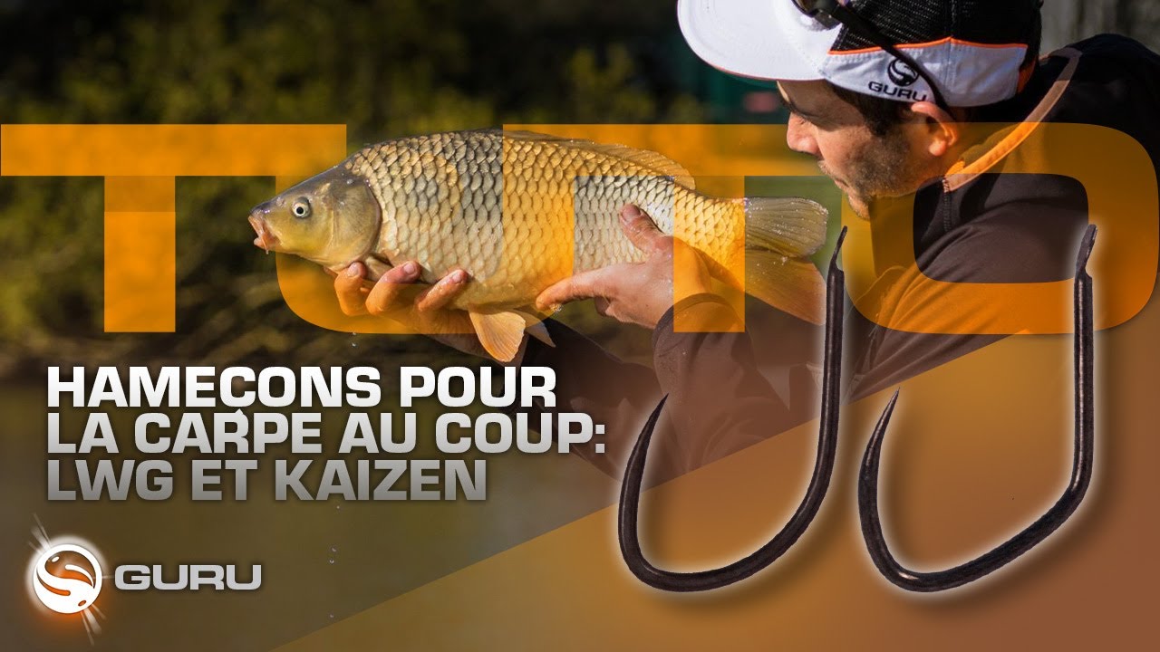 Hame&ccedil;ons pour la carpe au coup - Guru Kaizen & LWG