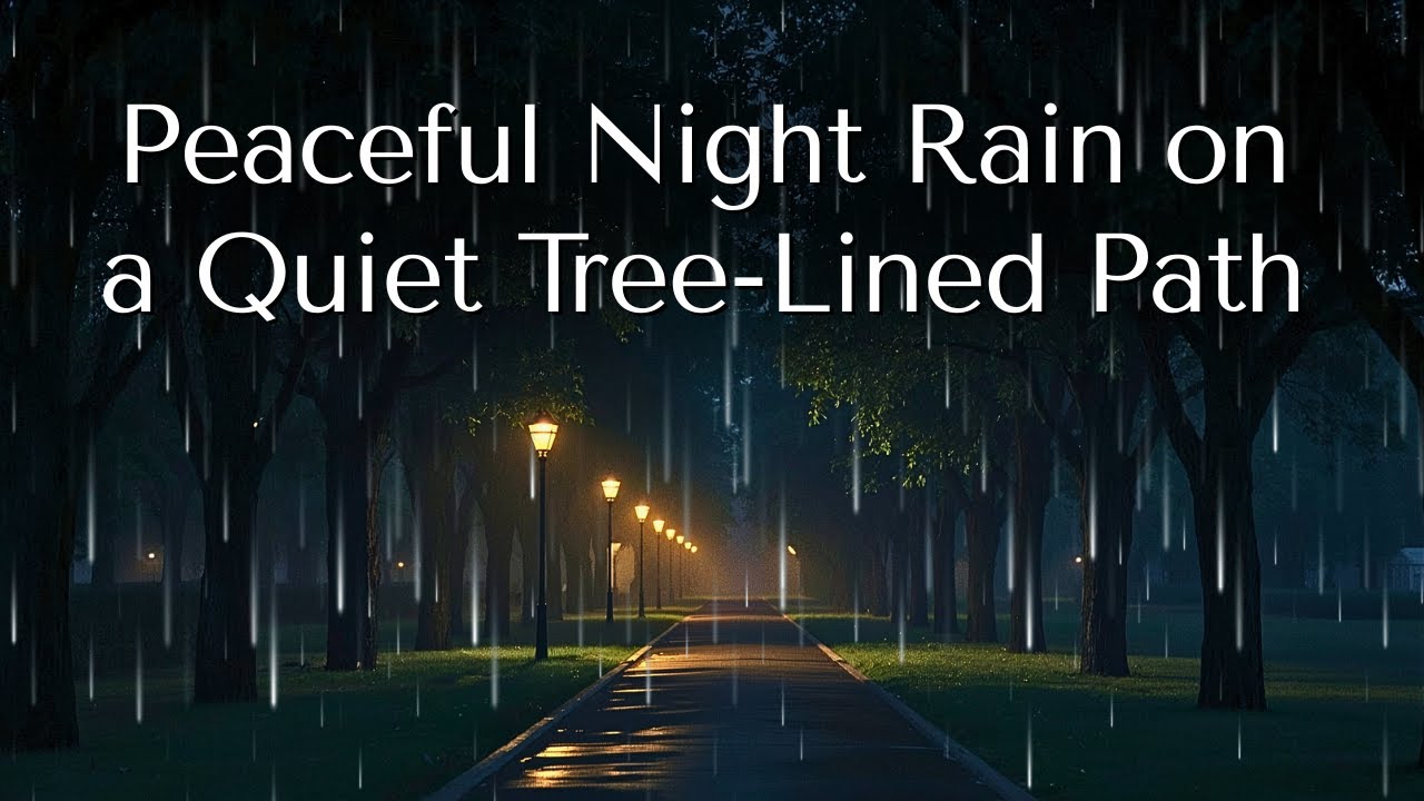 Peaceful Night Rain on a Quiet Tree Lined Pat