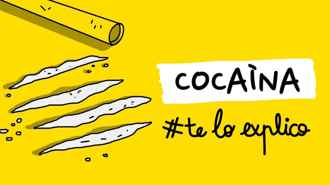 TODO LO QUE NECESITAS SABER SOBRE LA COCA&Iacute;NA | #TELOEXPLICO
