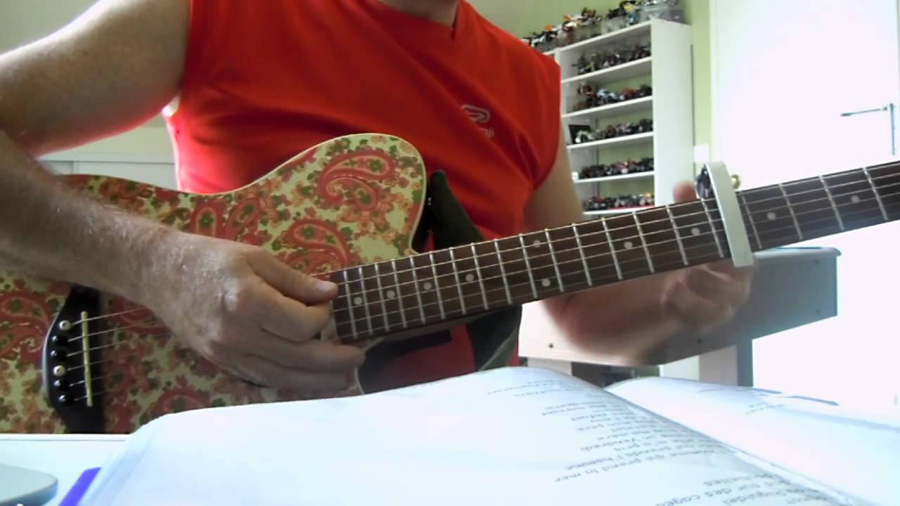 COVER - Les potes &agrave; Renaud - Des que le vent soufflera