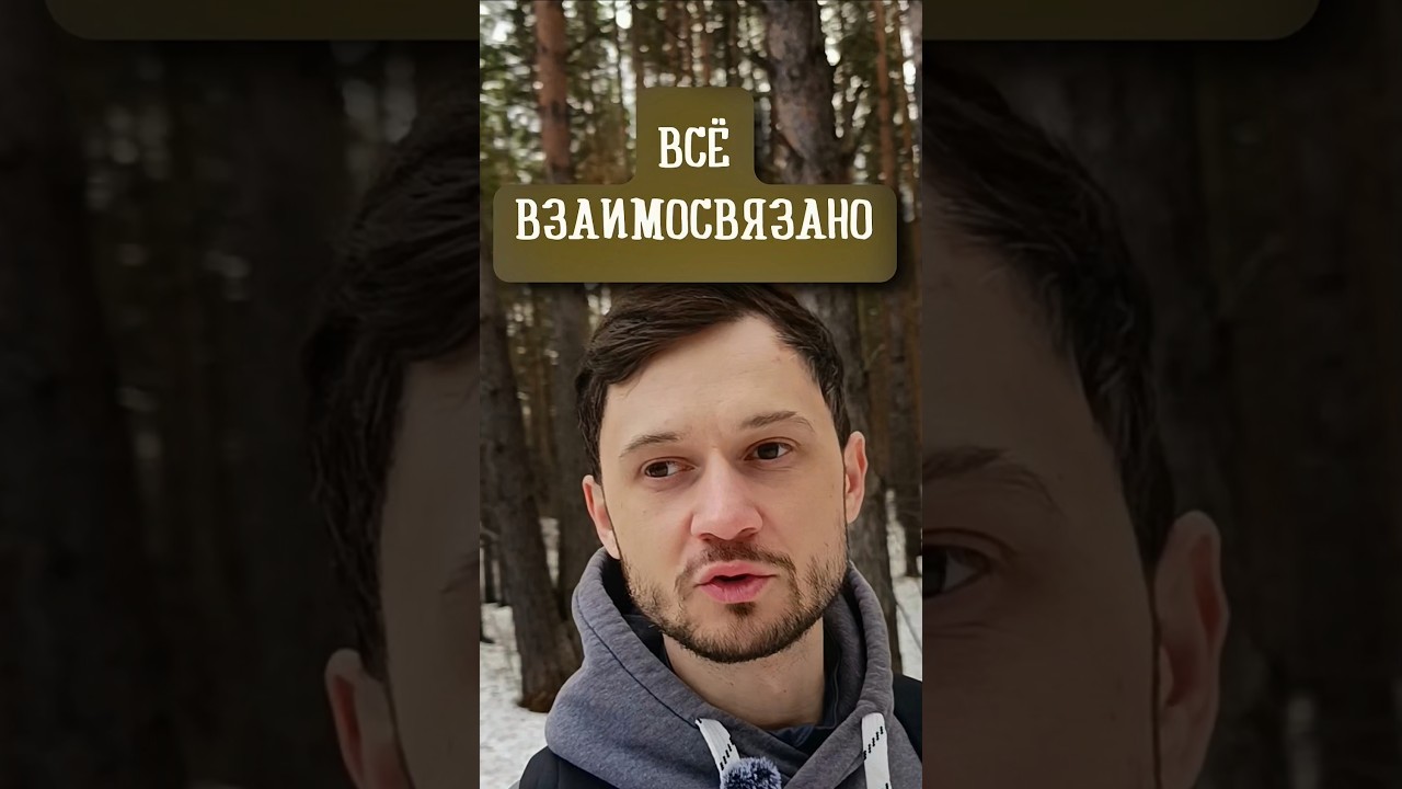 Всё взаимосвязано. #какисполнятьжелания #мотивация #психология #материализациямыслей