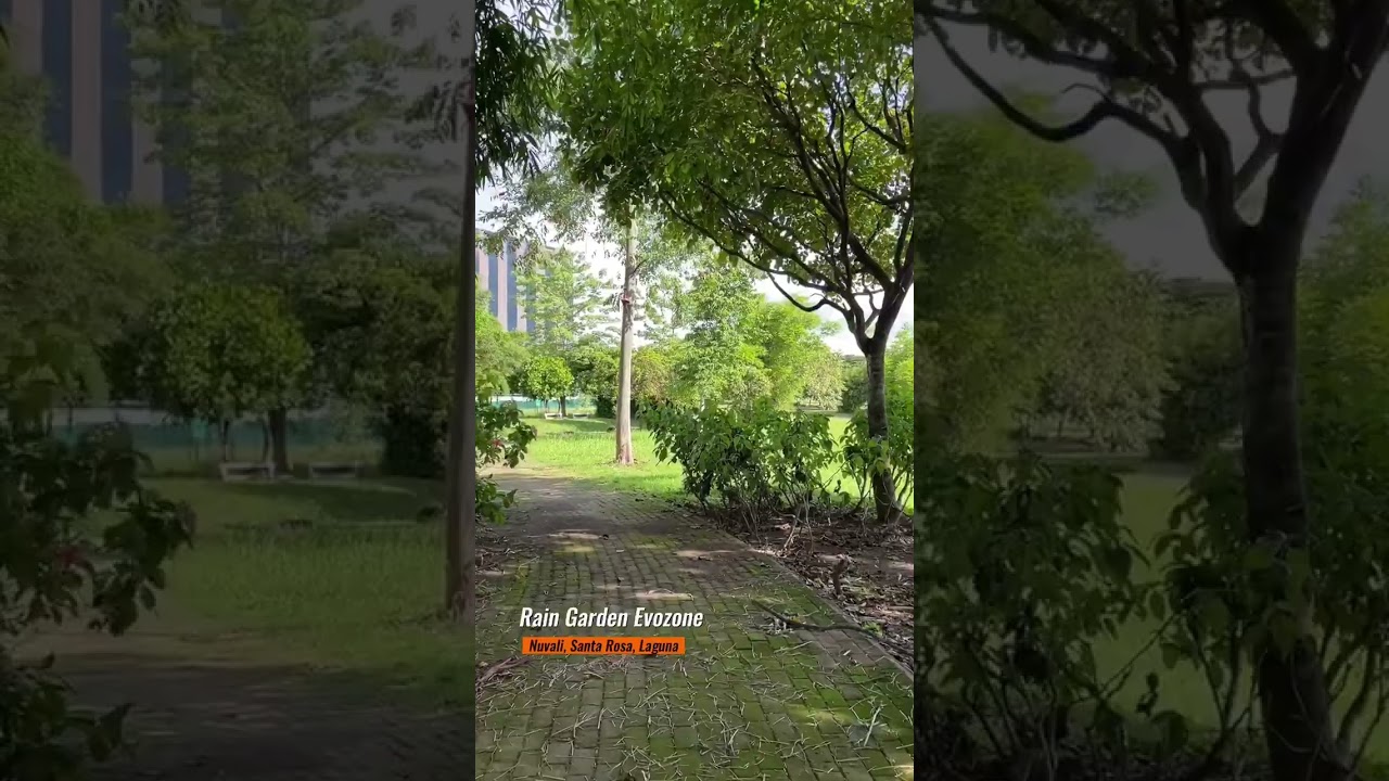 Nuvali Rain Garden Evozone Walk #nuvali #walking #nature #health #healthylifestyle