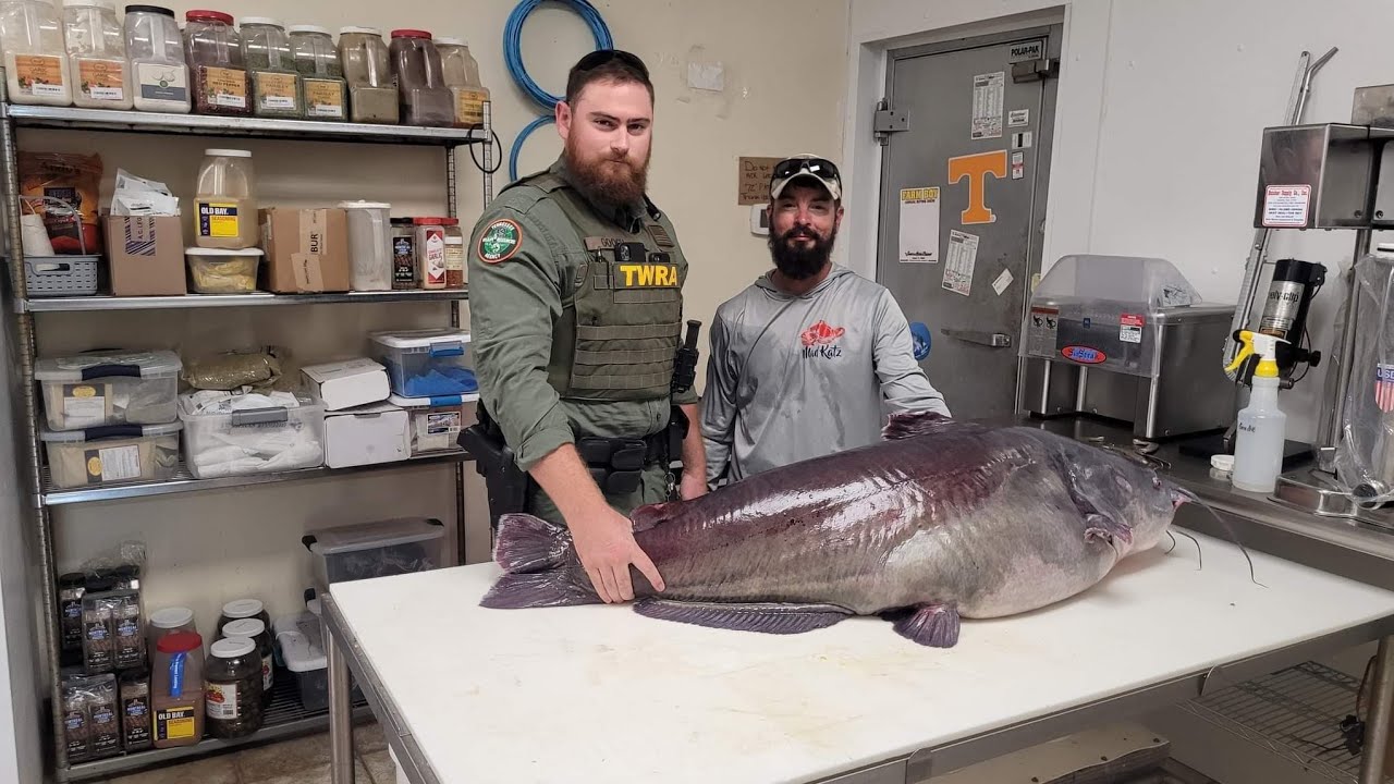 Micka Burkharts 118.7lb Tennessee State Record Blue Catfish 